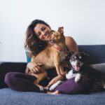 8 Ways to Rent With a Pet